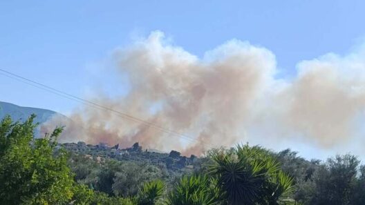 Αιγιάλεια: Φωτιά κοντά σε σπίτια - Πυροσβεστική και από την Πάτρα ΦΩΤΟ 12 Αιγιάλεια: Φωτιά κοντά σε σπίτια - Πυροσβεστική και από την Πάτρα ΦΩΤΟ