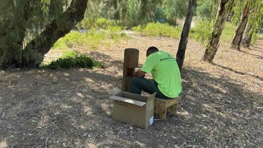 Πάτρα: Κλοπές στις δημοτικές εγκαταστάσεις σε Αγυιά, Γούβα, Ψαθόπυργο, ΕΕΕΕΚ που αποκαθίστανται ΦΩΤΟ