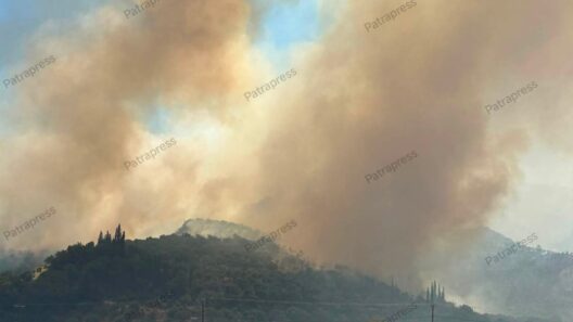 Αχαΐα: Καλύτερη η εικόνα στη φωτιά της Αιγιάλειας - Ζαΐμης στο Patrapress BINTEO-ΦΩΤΟ