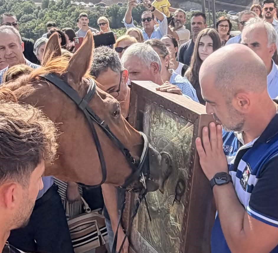 Καλάβρυτα: Τα άλογα προσκύνησαν και υποκλίθηκαν στην Παναγία - Ξεχωριστό περιστατικό προκάλεσε συγκίνηση και θαυμασμό ΦΩΤΟ