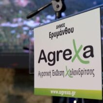 Αντίστροφη μέτρηση για την 23η AGREXA 2026 στην Χαλανδρίτσα 1 Λογότυπο ή αφίσα της 23ης AGREXA 2026 στη Χαλανδρίτσα