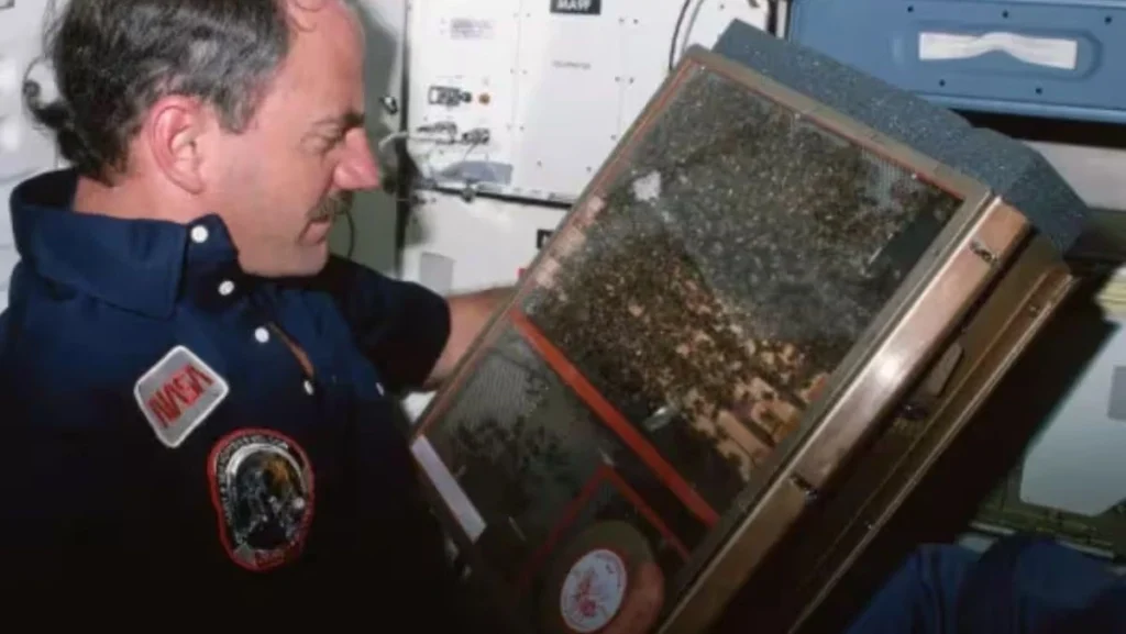 Το απίστευτο πείραμα της NASA: 3.300 μέλισσες έφτιαξαν κηρήθρα στο διάστημα ΦΩΤΟ