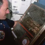 Το απίστευτο πείραμα της NASA: 3.300 μέλισσες έφτιαξαν κηρήθρα στο διάστημα ΦΩΤΟ