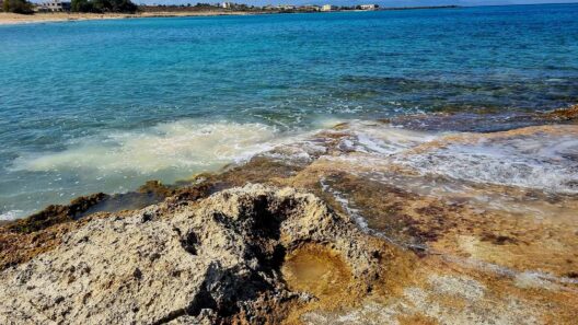 Ακράτα: Καταγγελία-σοκ για διοχέτευση λυμάτων στη θάλασσα ΒΙΝΤΕΟ 15 Ακράτα: Καταγγελία-σοκ για διοχέτευση λυμάτων στη θάλασσα ΒΙΝΤΕΟ