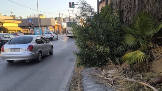 Πάτρα: Αδιαπέραστο πεζοδρόμιο από ΚΤΕΛ έως Μαρίνα για περιπατητές και ταξιδιώτες ΦΩΤΟ 14 Πεζοδρόμιο στην Πάτρα καλυμμένο από πυκνή βλάστηση και ξερά φύλλα,…