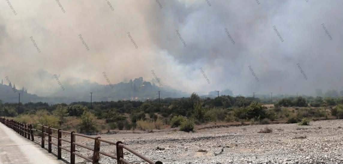 Πάτρα: Αποπνικτική η ατμόσφαιρα από καπνούς της φωτιάς στην Αιγιάλεια ΦΩΤΟ-ΒΙΝΤΕΟ 8 Πάτρα: Αποπνικτική η ατμόσφαιρα από καπνούς της φωτιάς στην Αιγιάλεια ΦΩΤΟ-ΒΙΝΤΕΟ