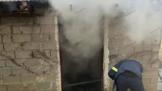 Νέος Ερινεός: Συγκλονίζει το μήνυμα εθελοντών μετά τη μάχη με τις φλόγες «Σώσαμε πέντε περιουσίες» ΒΙΝΤΕΟ 16 Νέος Ερινεός: Συγκλονίζει το μήνυμα εθελοντών μετά τη μάχη με τις φλόγες «Σώσαμε πέντε περιουσίες» ΒΙΝΤΕΟ