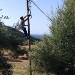 Φλόκα: Αλλάζουν καμένες λάμπες και αποκαθιστούν βλάβες μετά την φωτιά ΦΩΤΟ