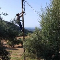 Φλόγες και καμμένες λάμπες μετά από φωτιά