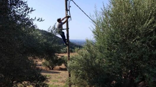 Φλόκα: Αλλάζουν καμένες λάμπες και αποκαθιστούν βλάβες μετά την φωτιά ΦΩΤΟ 14 Φλόγες και καμμένες λάμπες μετά από φωτιά
