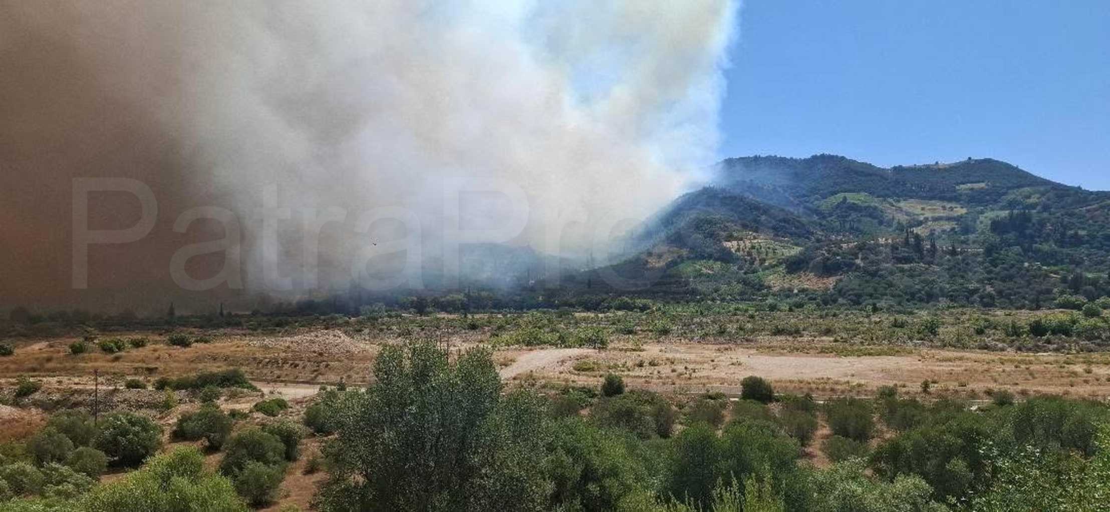 Πάτρα: Αποπνικτική η ατμόσφαιρα από καπνούς της φωτιάς στην Αιγιάλεια ΦΩΤΟ-ΒΙΝΤΕΟ 11 Πάτρα: Αποπνικτική η ατμόσφαιρα από καπνούς της φωτιάς στην Αιγιάλεια ΦΩΤΟ-ΒΙΝΤΕΟ
