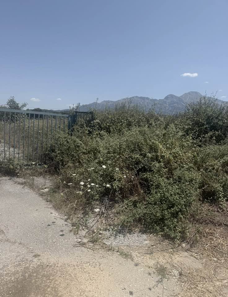 Ερυμάνθεια: Ακαθάριστος ο Βιολογικός με ευθύνη του Δήμου παρά την υποχρέωση καθαρισμού οικοπέδων της αντιπυρικής περιόδου