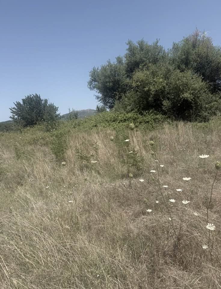 Ερυμάνθεια: Ακαθάριστος ο Βιολογικός με ευθύνη του Δήμου παρά την υποχρέωση καθαρισμού οικοπέδων της αντιπυρικής περιόδου