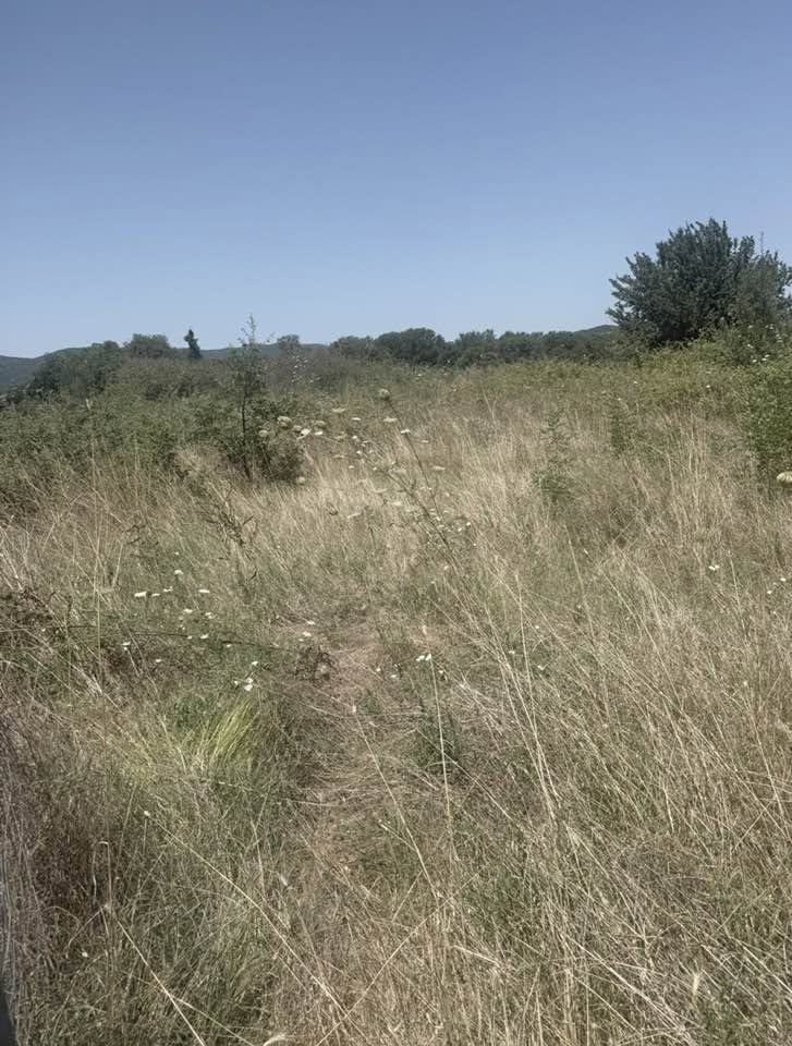 Ερυμάνθεια: Ακαθάριστος ο Βιολογικός με ευθύνη του Δήμου παρά την υποχρέωση καθαρισμού οικοπέδων της αντιπυρικής περιόδου