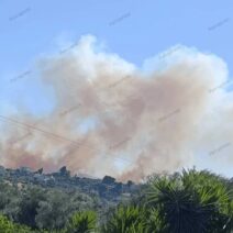 Αιγιάλεια: Οι καπνοί από την πυρκαγιά μεταφέρονται κυρίως προς τα δυτικά - H προσομοίωση του AtmoHub ΒΙΝΤΕΟ 1 Πυρκαγιά στην Αιγιάλεια