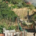 Αιγιάλεια: Αλληλεγγύη σε πυροσβέστες και εθελοντές από το Διακοπτό με συγκέντρωση ειδών πρώτης ανάγκης