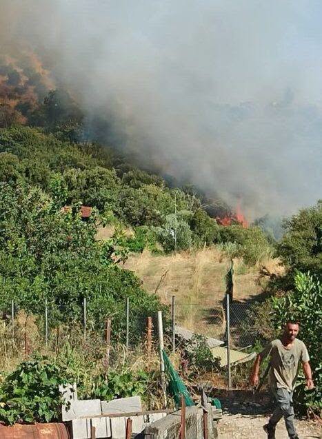 Αιγιάλεια: Εκτάκτως στη φωτιά Καναντέρ για εστία, χαράδρες, αναζωπυρώσεις - Επικοινωνία Ζαΐμη με τον Υπουργό Πολιτικής Προστασίας ΒΙΝΤΕΟ-ΦΩΤΟ