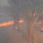 Αιγιάλεια: Στην πρώτη γραμμή της μάχης με τις φλόγες εθελοντές Σαμαρείτες του Ερυθρού Σταυρού Πάτρας ΒΙΝΤΕΟ-ΦΩΤΟ