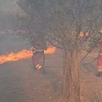 Αιγιάλεια: Στην πρώτη γραμμή της μάχης με τις φλόγες εθελοντές Σαμαρείτες του Ερυθρού Σταυρού Πάτρας ΒΙΝΤΕΟ-ΦΩΤΟ 3 Αιγιάλεια: Στην πρώτη γραμμή της μάχης με τις φλόγες εθελοντές Σαμαρείτες του Ερυθρού Σταυρού Πάτρας ΒΙΝΤΕΟ-ΦΩΤΟ