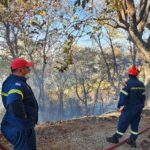 Αιγιάλεια: «Το ανθρώπινο φιλότιμο νίκησε τη φωτιά» – Η «μάχη» πυροσβεστών και εθελοντών σε Μάγειρα και Μυρόβρυση ΝΕΑ ΒΙΝΤΕΟ-ΦΩΤΟ