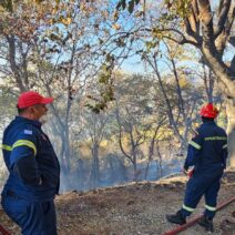 Αιγιάλεια: «Το ανθρώπινο φιλότιμο νίκησε τη φωτιά» – Η «μάχη» πυροσβεστών και εθελοντών σε Μάγειρα και Μυρόβρυση ΝΕΑ ΒΙΝΤΕΟ-ΦΩΤΟ