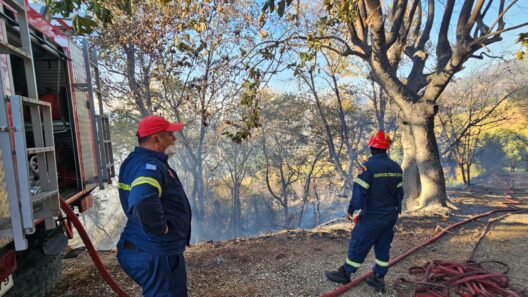Αιγιάλεια: «Το ανθρώπινο φιλότιμο νίκησε τη φωτιά» – Η «μάχη» πυροσβεστών και εθελοντών σε Μάγειρα και Μυρόβρυση ΝΕΑ ΒΙΝΤΕΟ-ΦΩΤΟ