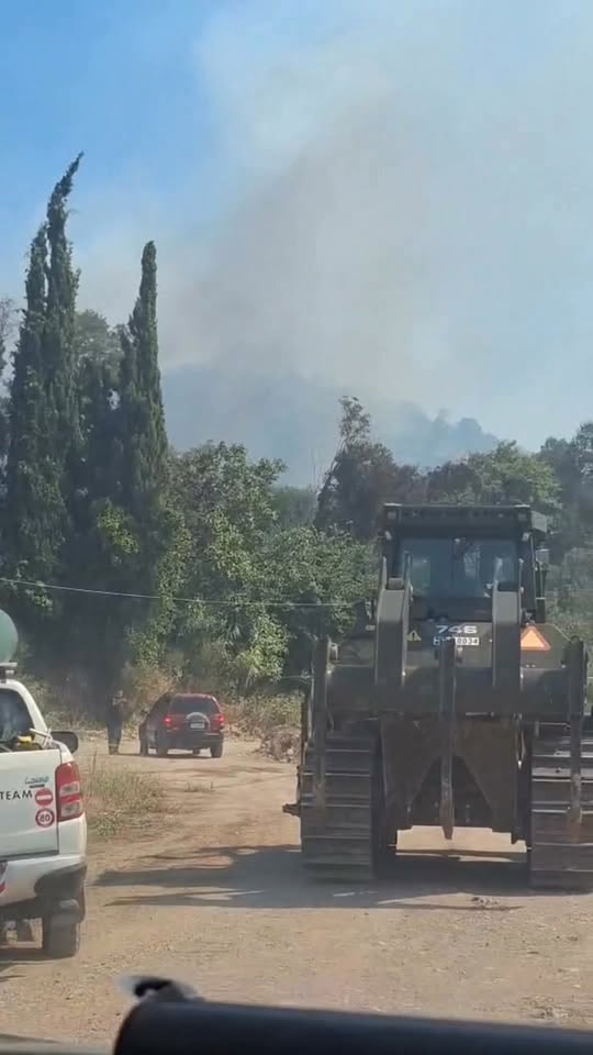 Αιγιάλεια: Στάχτη 7.000 στρέμματα - Κάηκαν δάση και καλλιέργειες - Χωρίς ενεργό μέτωπο - Αξιωματικός της ΠΥ στο Patrapress «Ήταν περίεργη φωτιά» - ΦΩΤΟΡΕΠΟΡΤΑΖ