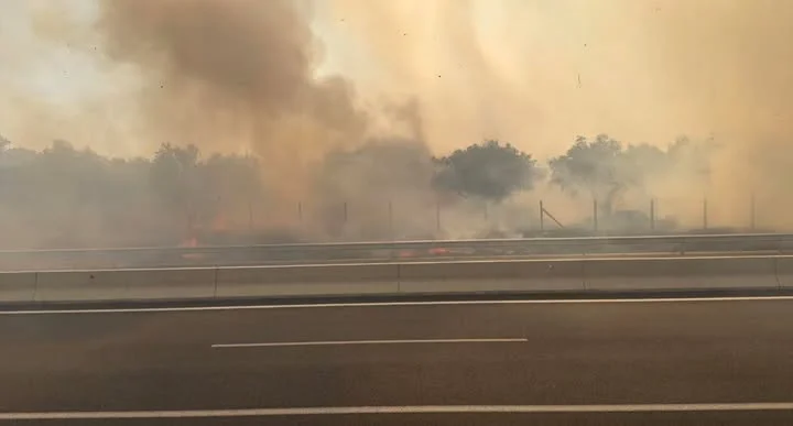 Πατρών-Πύργου: Σταδιακή διακοπή της κυκλοφορίας από φωτιά στην Ηλεία - Για λόγους ασφαλείας ΒΙΝΤΕΟ-ΦΩΤΟ