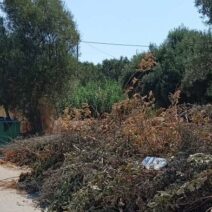 Συχαινά: Στοίβες από ξερά κλαδιά, φόβοι για πυρκαγιά ΦΩΤΟ