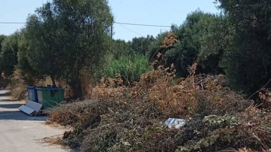 Συχαινά: Στοίβες από ξερά κλαδιά, φόβοι για πυρκαγιά ΦΩΤΟ 13 Συχαινά: Στοίβες από ξερά κλαδιά, φόβοι για πυρκαγιά ΦΩΤΟ