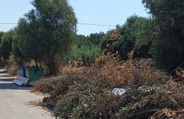 Συχαινά: Στοίβες από ξερά κλαδιά, φόβοι για πυρκαγιά ΦΩΤΟ
