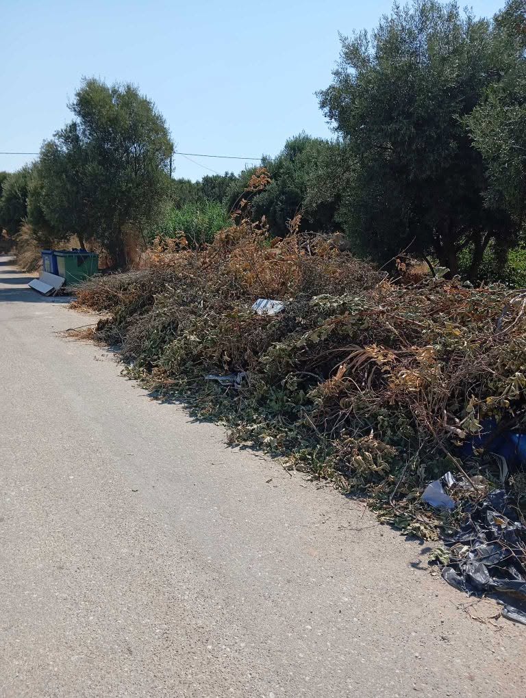 Συχαινά: Στοίβες από ξερά κλαδιά, φόβοι για πυρκαγιά ΦΩΤΟ