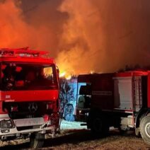 Αιγιάλεια: Σε ύφεση και υπό έλεγχο η φωτιά - Παραμένουν ισχυρές πυροσβεστικές δυνάμεις για αναζωπυρώσεις ΒΙΝΤΕΟ-ΦΩΤΟ 1 Αιγιάλεια: Σε ύφεση και υπό έλεγχο η φωτιά - Παραμένουν ισχυρές πυροσβεστικές δυνάμεις για αναζωπυρώσεις ΒΙΝΤΕΟ-ΦΩΤΟ