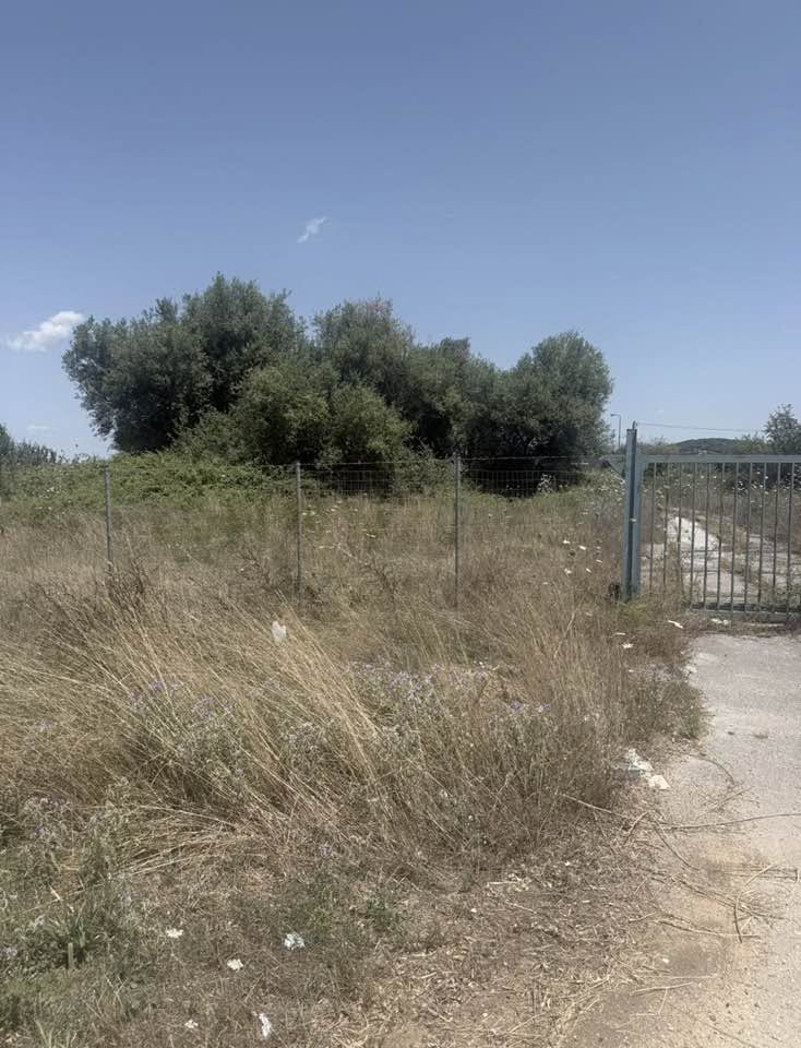 Ερυμάνθεια: Ακαθάριστος ο Βιολογικός με ευθύνη του Δήμου παρά την υποχρέωση καθαρισμού οικοπέδων της αντιπυρικής περιόδου