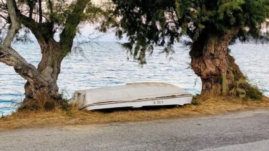 Ακράτα: «Γάγγραινα» στην παραλία οι «ξεχασμένες» βάρκες στη στεριά παρά τις εκκλήσεις για απομάκρυνση ΦΩΤΟ 18 Ακράτα: «Γάγγραινα» στην παραλία οι «ξεχασμένες» βάρκες στη στεριά παρά τις εκκλήσεις για απομάκρυνση ΦΩΤΟ