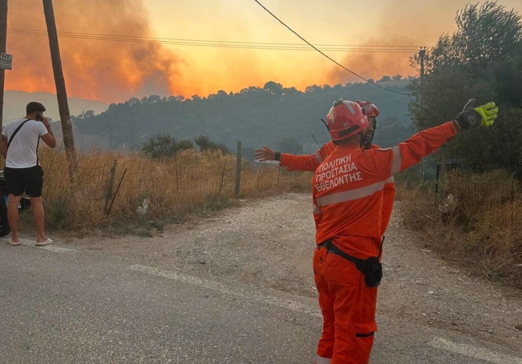 Φλόγκα σε δασική περιοχή
