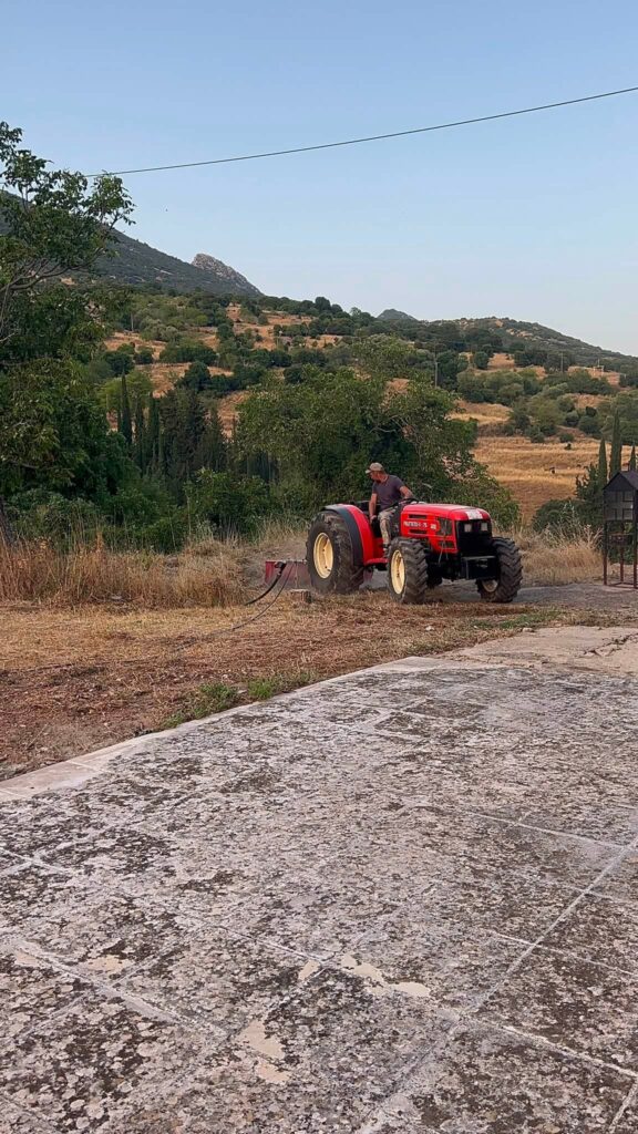 Λαπαναγοί: Πρωτότυπη φωταγώγηση της εισόδου του χωριού με καλλωπισμό και καθαρισμό ΦΩΤΟ 17 Λαπαναγοί: Πρωτότυπη φωταγώγηση της εισόδου του χωριού με καλλωπισμό και καθαρισμό ΦΩΤΟ