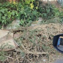 Πάτρα: Μόνιμα τα σκουπίδια σε Αρόη και Αγία Σκέπη - «Ντρέπομαι κάθε φορά που περνάω» ΦΩΤΟ