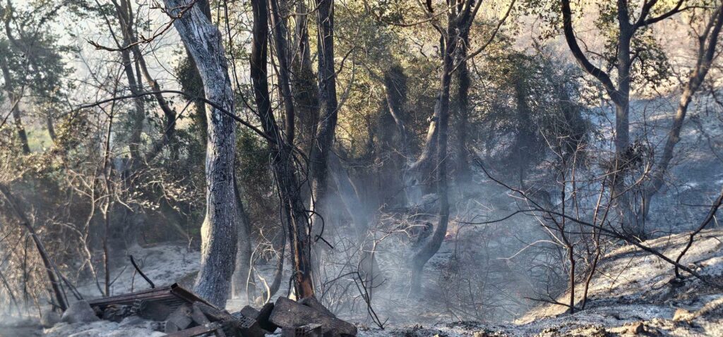 Αιγιάλεια: «Το ανθρώπινο φιλότιμο νίκησε τη φωτιά» – Η «μάχη» πυροσβεστών και εθελοντών σε Μάγειρα και Μυρόβρυση ΝΕΑ ΒΙΝΤΕΟ-ΦΩΤΟ 12 Αιγιάλεια: «Το ανθρώπινο φιλότιμο νίκησε τη φωτιά» – Η «μάχη» πυροσβεστών και εθελοντών σε Μάγειρα και Μυρόβρυση ΝΕΑ ΒΙΝΤΕΟ-ΦΩΤΟ