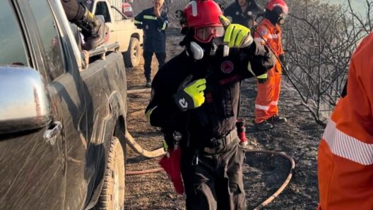 Αιγιάλεια: «Κόβουν την ανάσα» οι επιχειρήσεις κατάσβεσης της φωτιάς από εθελοντές - Η «μάχη» με τις φλόγες στο Patrapress ΒΙΝΤΕΟ-ΦΩΤΟ