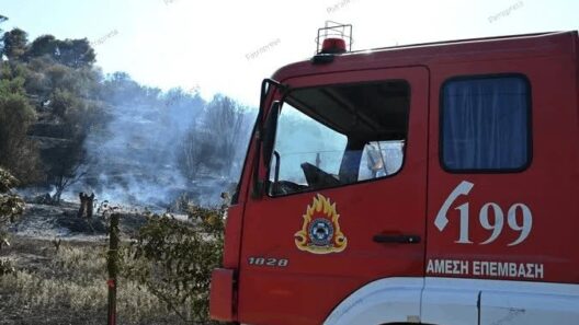 Αιγιάλεια: Σε ύφεση και υπό έλεγχο η μεγάλη φωτιά - Επιχειρούν ισχυρές δυνάμεις για τον φόβο αναζωπυρώσεων σε Συμπολιτεία και Ερινεό ΒΙΝΤΕΟ-ΦΩΤΟ