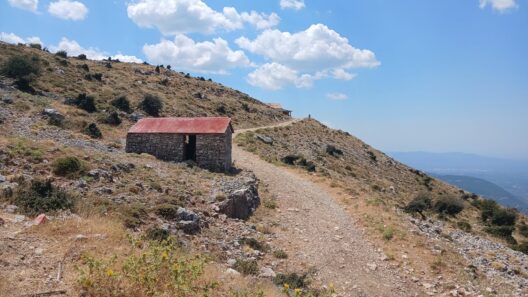 Πάτρα: Στην τελική ευθεία το μεγάλο έργο των μονοπατιών του Παναχαϊκού όρους – Στο Ψάρθι ο χώρος θέας και αναψυχής ΦΩΤΟ 14 Πάτρα: Στην τελική ευθεία το μεγάλο έργο των μονοπατιών του Παναχαϊκού όρους – Στο Ψάρθι ο χώρος θέας και αναψυχής ΦΩΤΟ