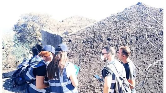 Φλόκα: Οι ζημιές που κατέγραψε Ειδικό Κλιμάκιο στην έκταση που έκαψε η πυρκαγιά