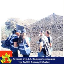 Φλόκα: Οι ζημιές που κατέγραψε το κλιμάκιο της ΔΑΕΦΚ Δυτικής Ελλάδος από την πυρκαγιά 1 Φλόκα: Οι ζημιές που κατέγραψε το κλιμάκιο της ΔΑΕΦΚ Δυτικής Ελλάδος από την πυρκαγιά