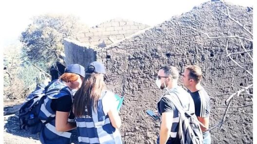 Φλόκα: Οι ζημιές που κατέγραψε το κλιμάκιο της ΔΑΕΦΚ Δυτικής Ελλάδος από την πυρκαγιά 16 Φλόκα: Οι ζημιές που κατέγραψε το κλιμάκιο της ΔΑΕΦΚ Δυτικής Ελλάδος από την πυρκαγιά