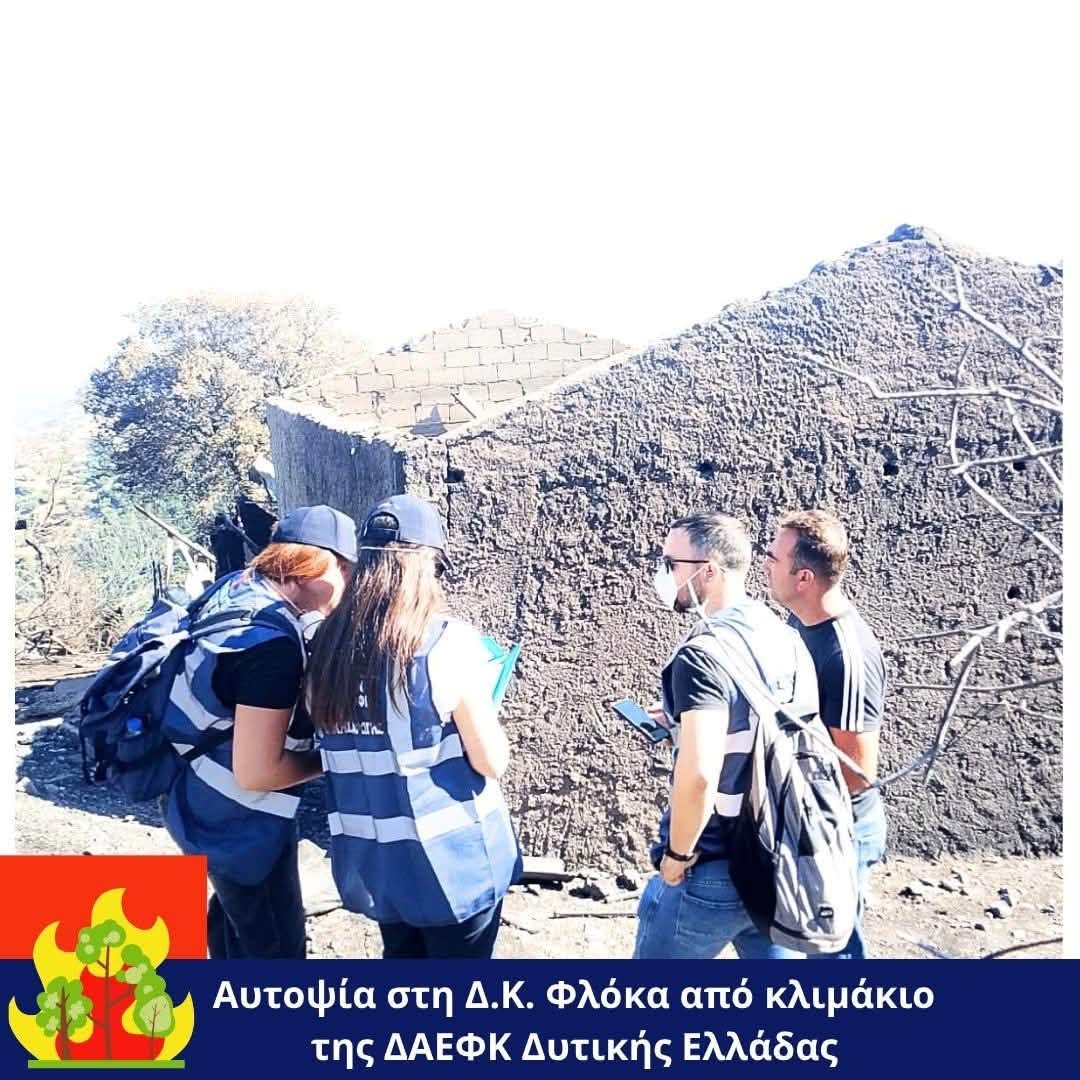 Δυτική Αχαΐα: Άρχισε η καταγραφή ζημιών στον Φλόκα μετά την πυρκαγιά ΦΩΤΟ 7 Δυτική Αχαΐα: Άρχισε η καταγραφή ζημιών στον Φλόκα μετά την πυρκαγιά ΦΩΤΟ