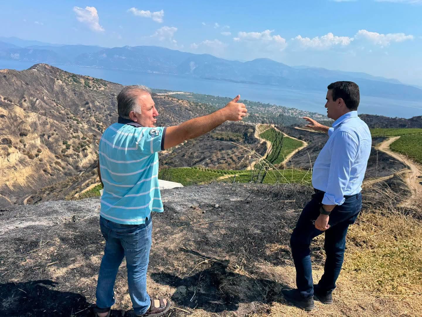 Αιγιάλεια: Κλιμάκιο του ΠΑΣΟΚ στα καμένα για τις ζημιές σε ελιές, σταφίδα, αμπέλια ΦΩΤΟ 6 Αιγιάλεια: Κλιμάκιο του ΠΑΣΟΚ στα καμένα για τις ζημιές σε ελιές, σταφίδα, αμπέλια ΦΩΤΟ