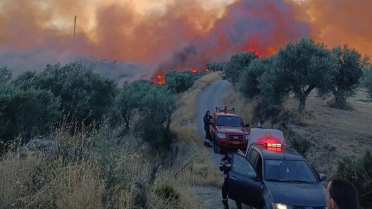 Αχαΐα: Ενεργά στις πυρκαγιές Οβρυάς και Νερατζιών οι Εθελοντές Πυροσβέστες ΒΙΝΤΕΟ-ΦΩΤΟ