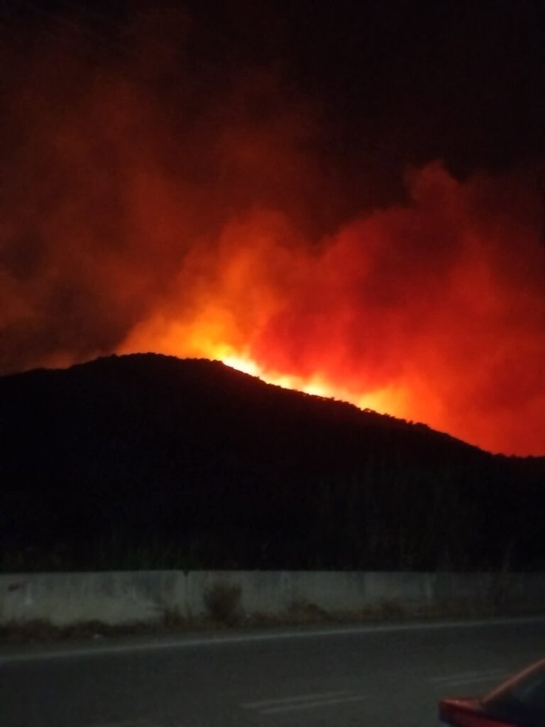 Φλόκα: Η επιχείρηση κατάσβεσης της δασικής πυρκαγιάς από τους Εθελοντές Πυροσβέστες Αχαΐας ΒΙΝΤΕΟ-ΦΩΤΟ 7 Φλόκα: Η επιχείρηση κατάσβεσης της δασικής πυρκαγιάς από τους Εθελοντές Πυροσβέστες Αχαΐας ΒΙΝΤΕΟ-ΦΩΤΟ
