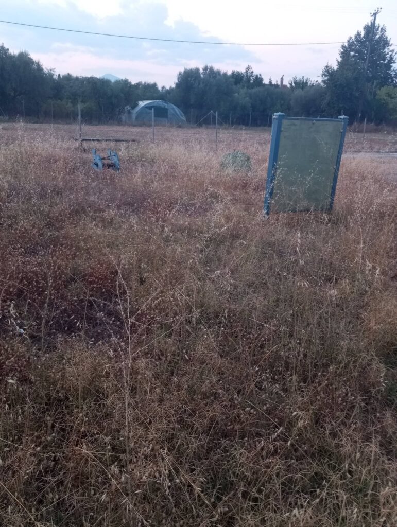 Παραλία: Ο δήμος δεν καθάρισε ούτε τα οικόπεδά του που χορταριάζουν επικίνδυνα εν μέσω αντιπυρικής περιόδου ΦΩΤΟ